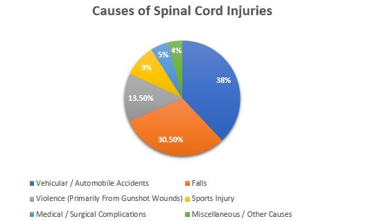 Causes of spinal cord injuries graph